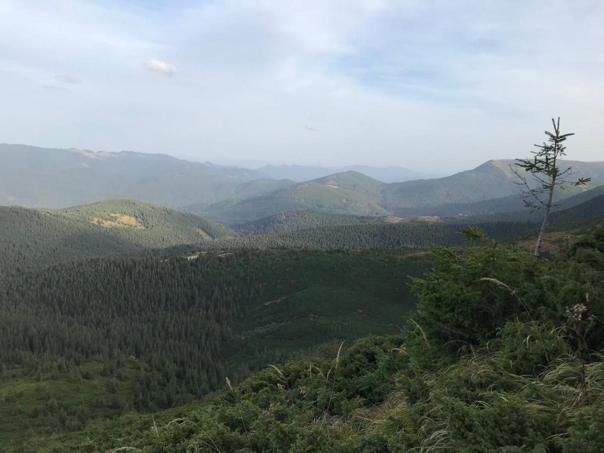 Apartmán Під Явором Vorochta Exteriér fotografie